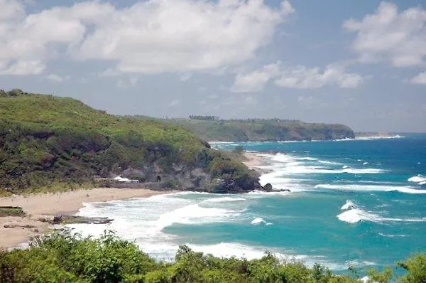 Family Guest House Quebradillas